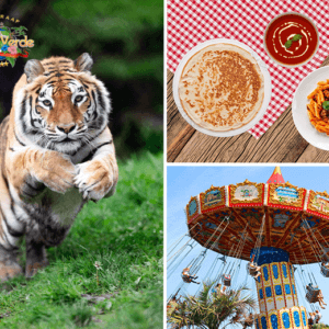 Dagentree Mondo Verde + onbeperkt eten en drinken