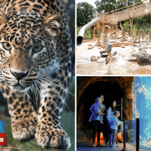 Entreeticket Burgers' Zoo