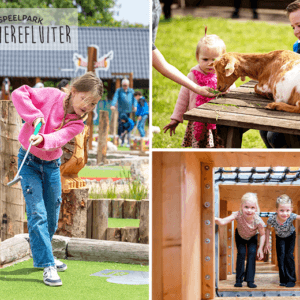 Entreeticket De Flierefluiter in Overijssel