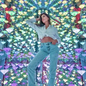 Entreeticket Moco Museum