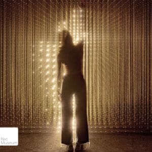 Entreeticket Nxt Museum