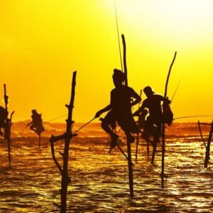 Grand Tour Sri Lanka Deluxe