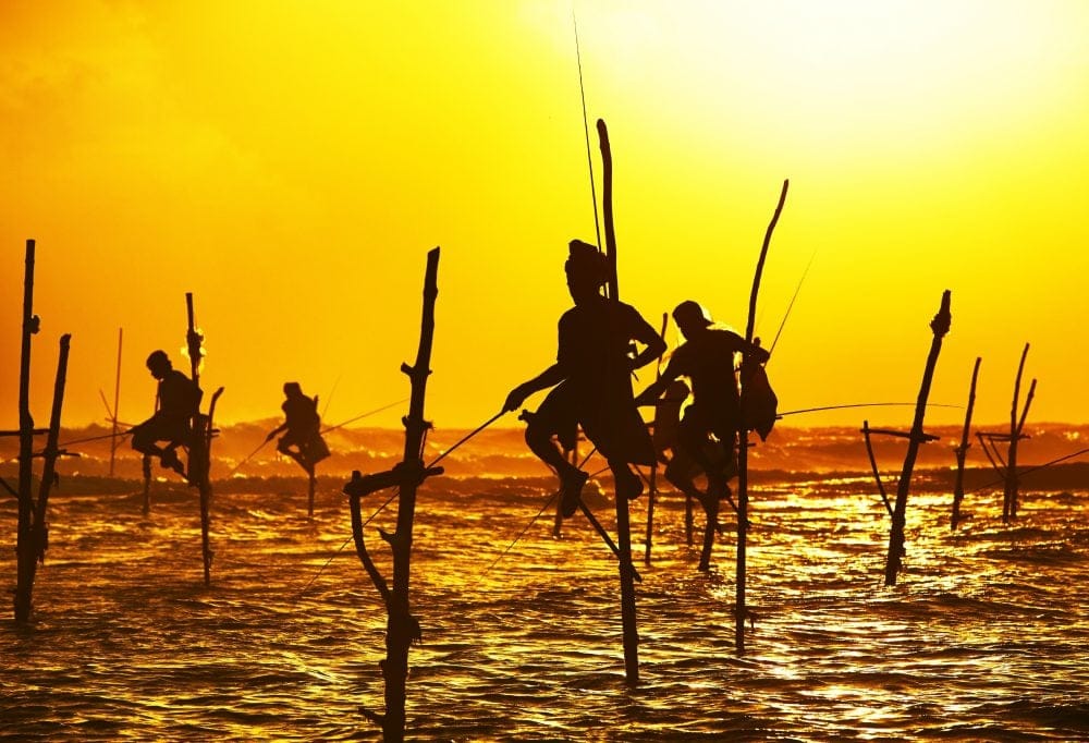 Grand Tour Sri Lanka Deluxe