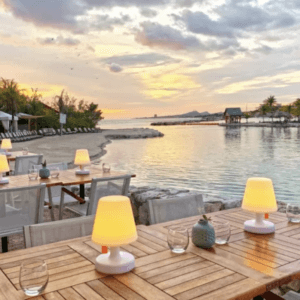 Resort The Royal Sea Aquarium