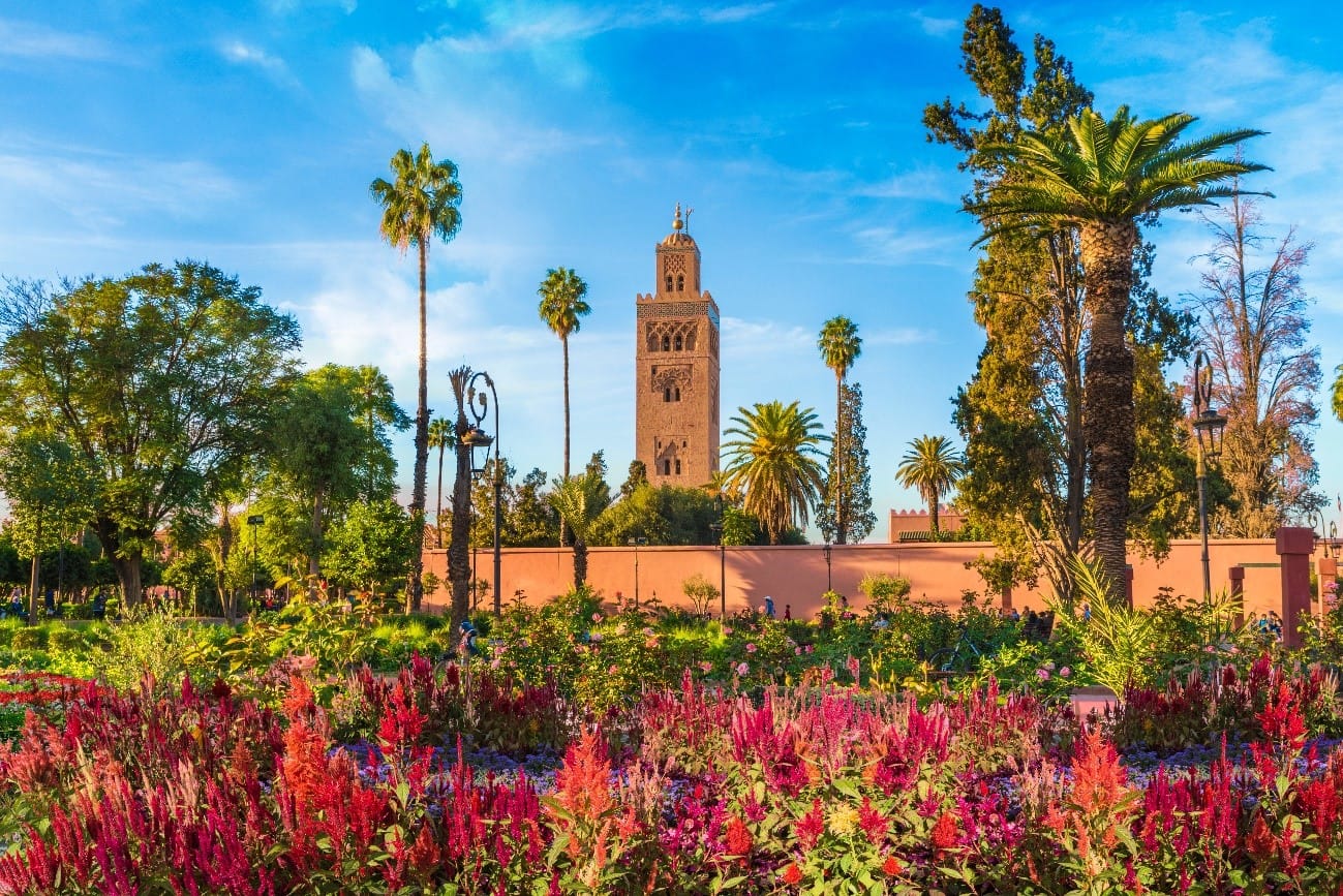 Stedentrip naar Marrakech