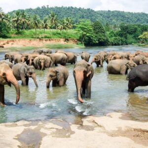 Discover Sri Lanka Deluxe