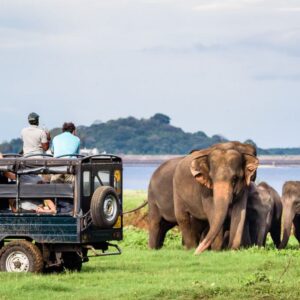 Grand Tour Sri Lanka